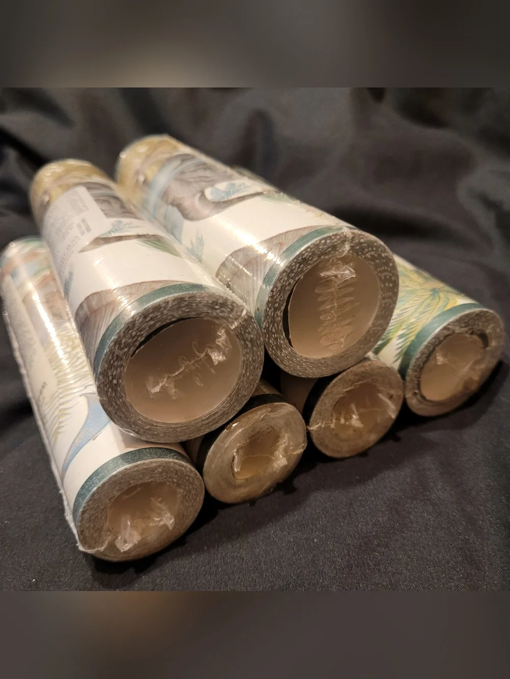 NEW Vintage Sunworthy Dinosaur Prehistoric Wallpaper Border WB4080 Lot of 6